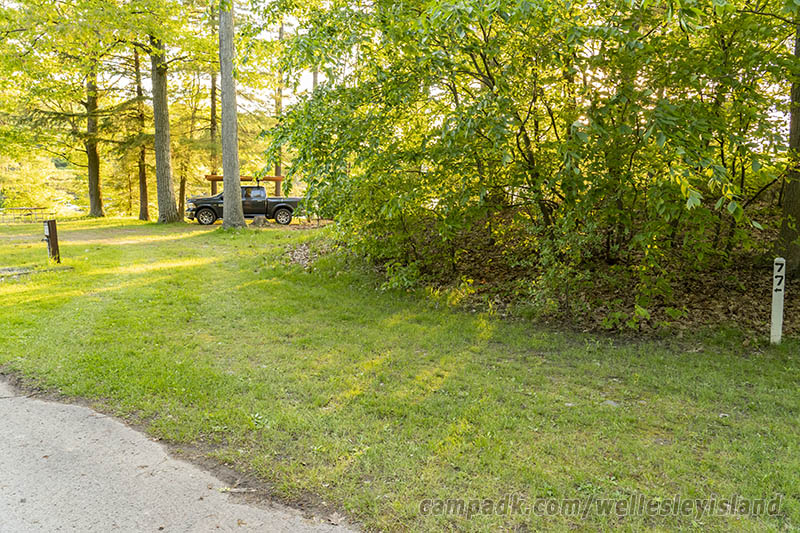 Campsite Photo of Site 77 at Wellesley Island State Park, New York - Looking at Site from Road Sign Visible