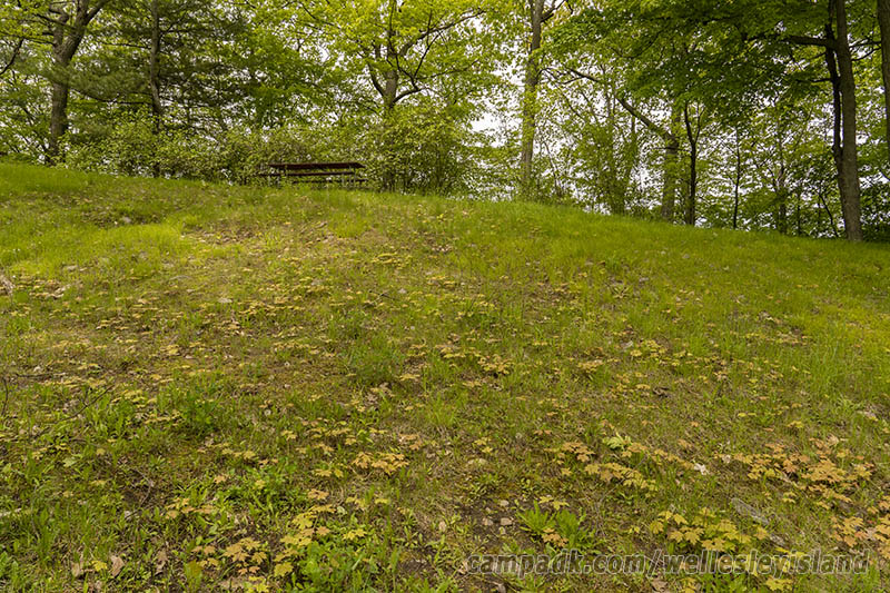 Campsite Photo of Site 19 at Wellesley Island State Park, New York - Looking at Site from Road