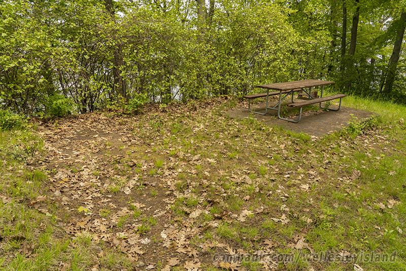 Campsite Photo of Site 19 at Wellesley Island State Park, New York - Cross Site View