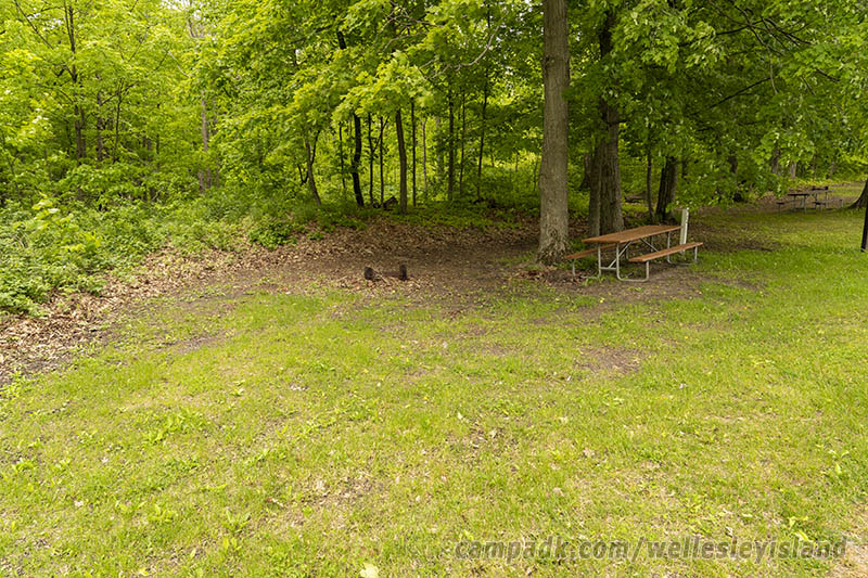 Campsite Photo of Site 77 at Wellesley Island State Park, New York - Looking at Site from Road
