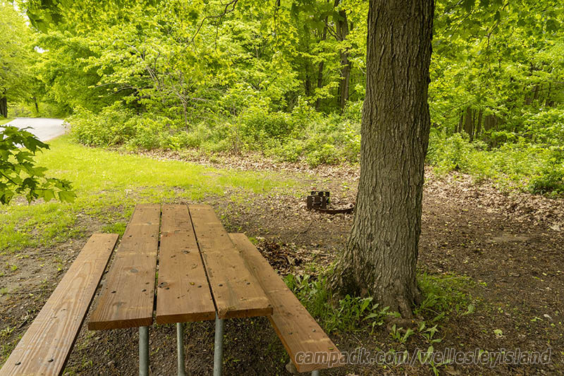 Campsite Photo of Site 77 at Wellesley Island State Park, New York - Cross Site View