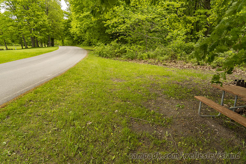 Campsite Photo of Site 77 at Wellesley Island State Park, New York - Cross Site View
