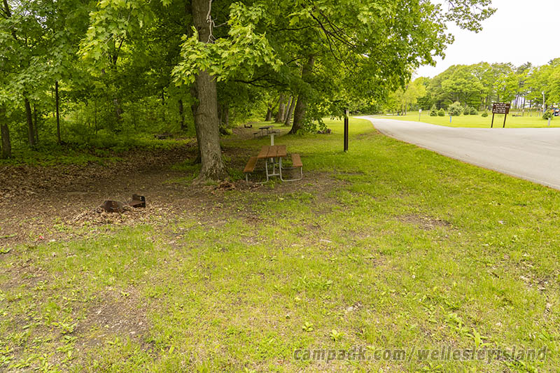 Campsite Photo of Site 77 at Wellesley Island State Park, New York - Cross Site View