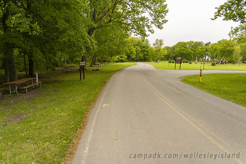 Campsite Photo of Site 77 at Wellesley Island State Park, New York - View Down Road from Campsite