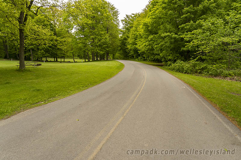 Campsite Photo of Site 77 at Wellesley Island State Park, New York - View Down Road from Campsite