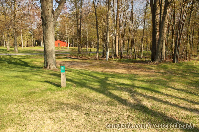 Campsite Photo of Site 123 at Westcott Beach State Park, New York - Looking at Site from Road Sign Visible