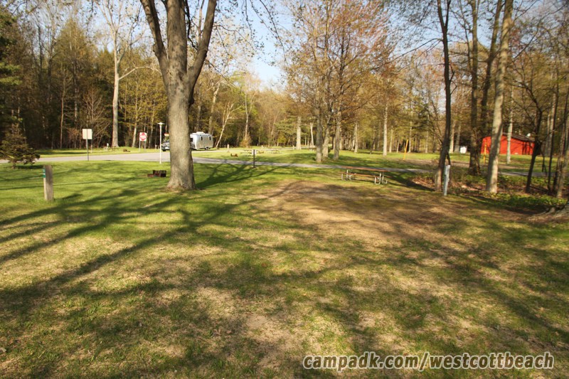 Campsite Photo of Site 123 at Westcott Beach State Park, New York - Looking at Site from Road