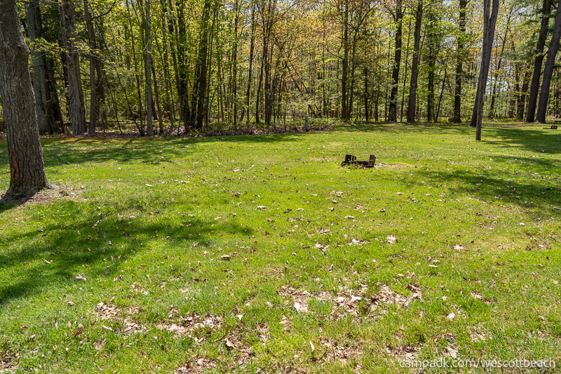 Campsite Photo of Site 15 at Westcott Beach State Park, New York - Looking at Site from Road