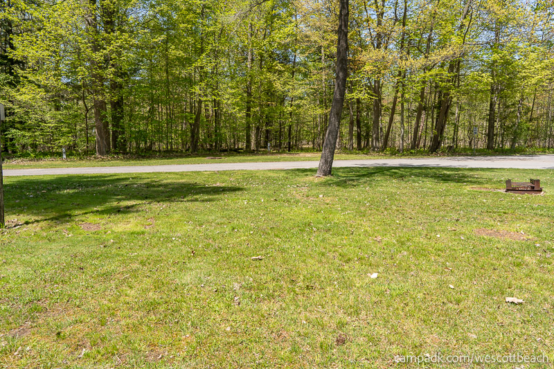 Campsite Photo of Site 15 at Westcott Beach State Park, New York - Looking Back Towards Road