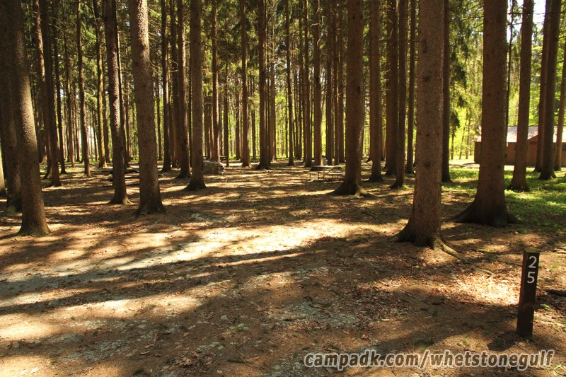 Campsite Photo of Site 25 at Whetstone Gulf State Park, New York - Looking at Site from Road Sign Visible