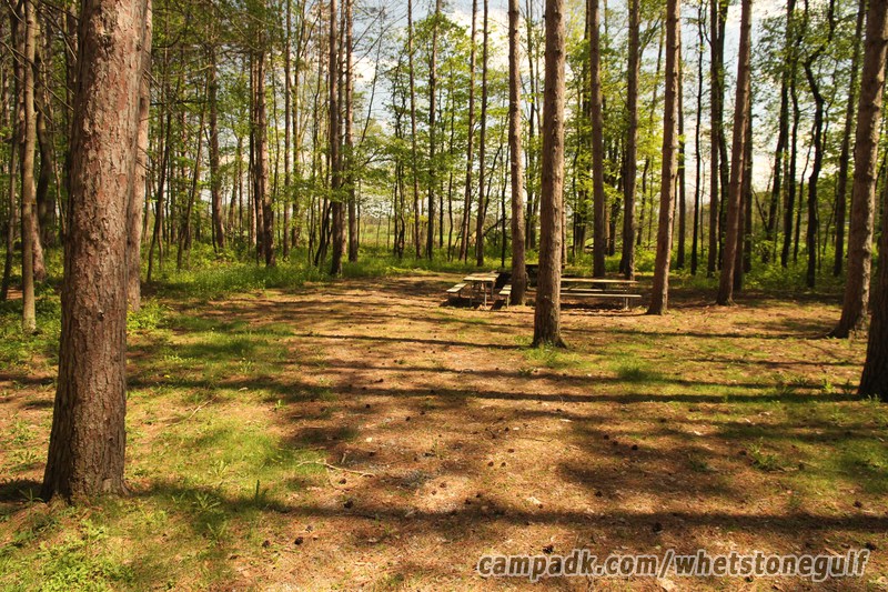 Campsite Photo of Site 45 at Whetstone Gulf State Park, New York - Looking at Site from Road