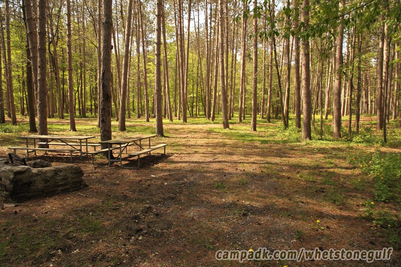 Campsite Photo of Site 45 at Whetstone Gulf State Park, New York - Looking Back Towards Road