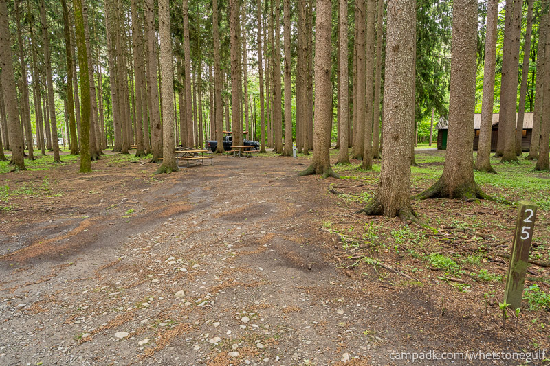 Campsite Photo of Site 25 at Whetstone Gulf State Park, New York - Looking at Site from Road Sign Visible