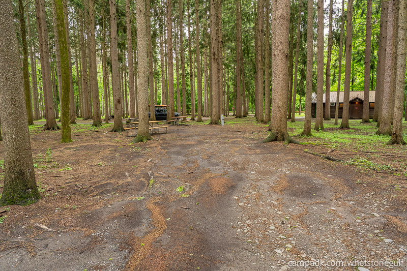 Campsite Photo of Site 25 at Whetstone Gulf State Park, New York - Looking at Site from Road