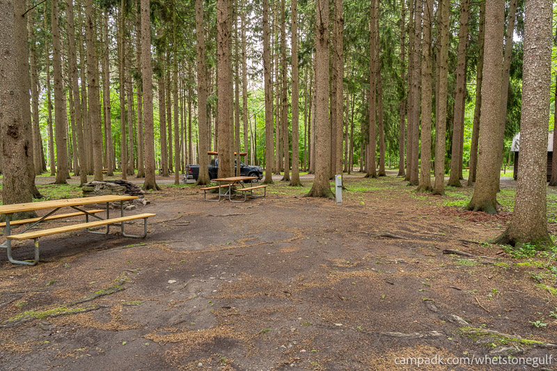 Campsite Photo of Site 25 at Whetstone Gulf State Park, New York - Looking at Site from Part Way In