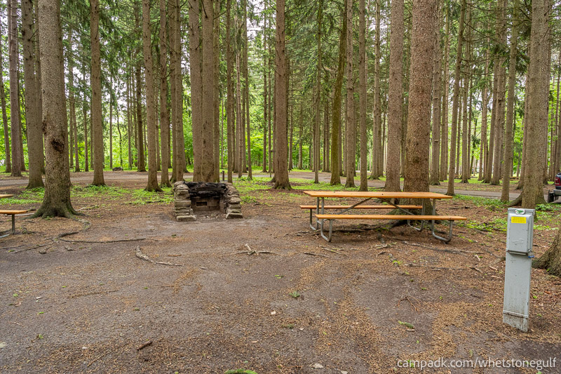 Campsite Photo of Site 25 at Whetstone Gulf State Park, New York - Cross Site View