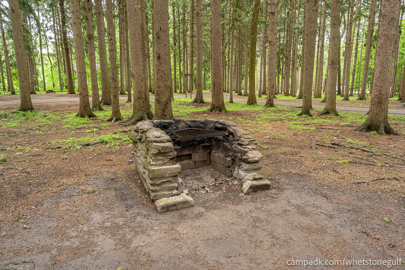 Campsite Photo of Site 25 at Whetstone Gulf State Park, New York - Fireplace View