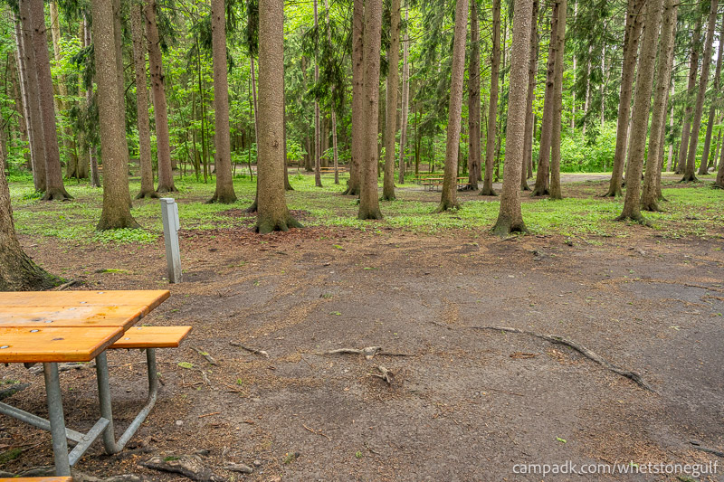 Campsite Photo of Site 25 at Whetstone Gulf State Park, New York - Cross Site View