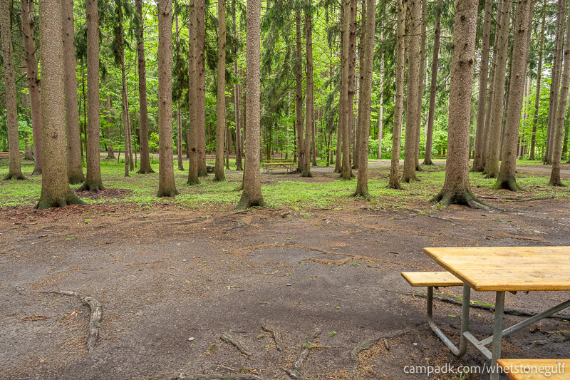 Campsite Photo of Site 25 at Whetstone Gulf State Park, New York - Cross Site View