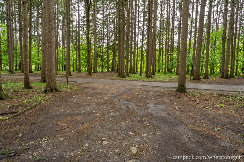 Campsite Photo of Site 25 at Whetstone Gulf State Park, New York - Looking Back Towards Road