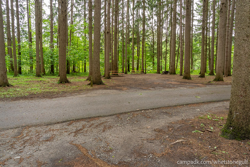 Campsite Photo of Site 25 at Whetstone Gulf State Park, New York - Looking Back Towards Road