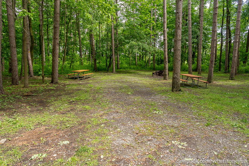 Campsite Photo of Site 45 at Whetstone Gulf State Park, New York - Looking at Site from Road