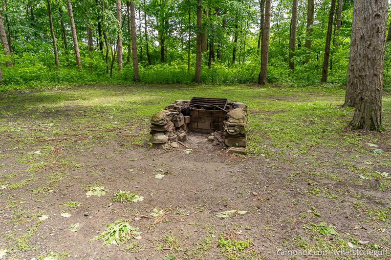 Campsite Photo of Site 45 at Whetstone Gulf State Park, New York - Fireplace View
