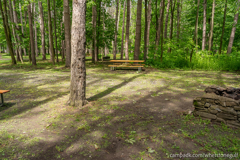 Campsite Photo of Site 45 at Whetstone Gulf State Park, New York - Cross Site View