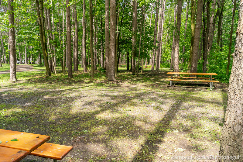 Campsite Photo of Site 45 at Whetstone Gulf State Park, New York - Cross Site View