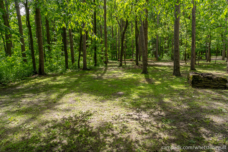 Campsite Photo of Site 45 at Whetstone Gulf State Park, New York - Cross Site View