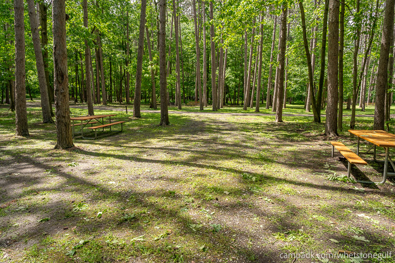 Campsite Photo of Site 45 at Whetstone Gulf State Park, New York - Looking Back Towards Road