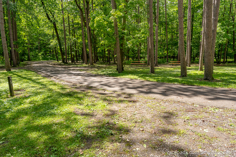 Campsite Photo of Site 45 at Whetstone Gulf State Park, New York - Looking Back Towards Road