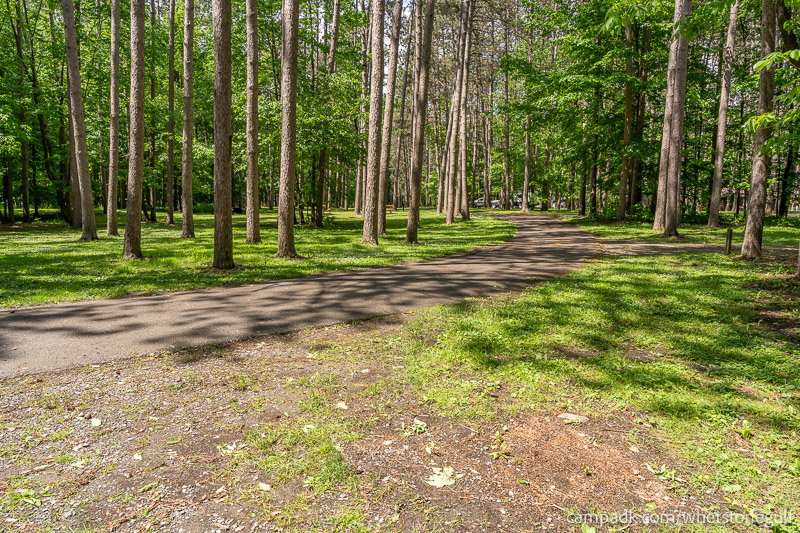 Campsite Photo of Site 45 at Whetstone Gulf State Park, New York - Looking Back Towards Road