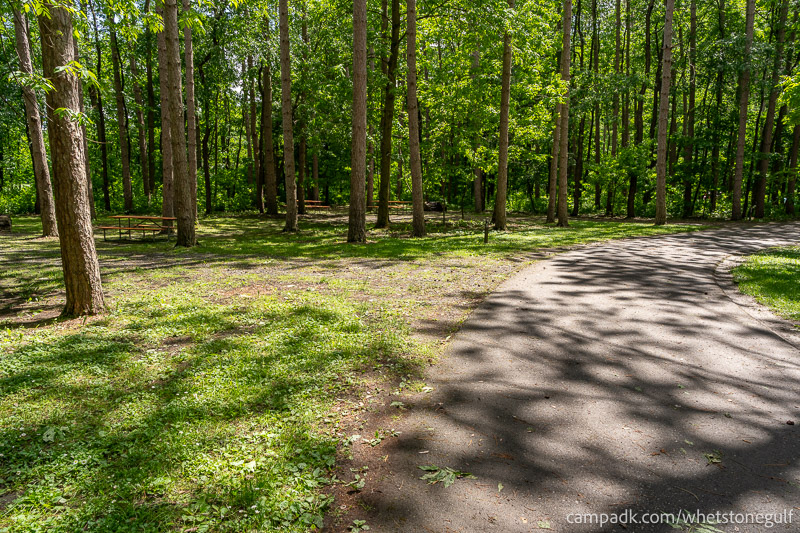 Campsite Photo of Site 45 at Whetstone Gulf State Park, New York - View Down Road from Campsite