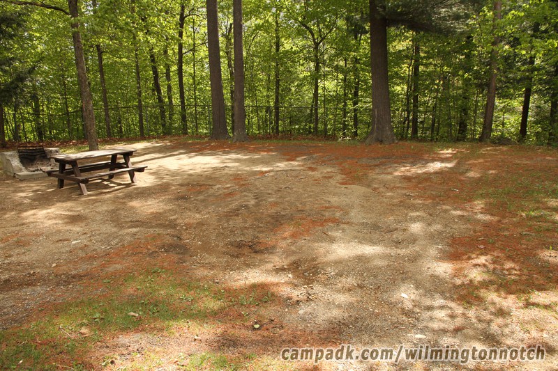Campsite Photo of Site 11 at Wilmington Notch Campground, New York - Looking at Site from Road