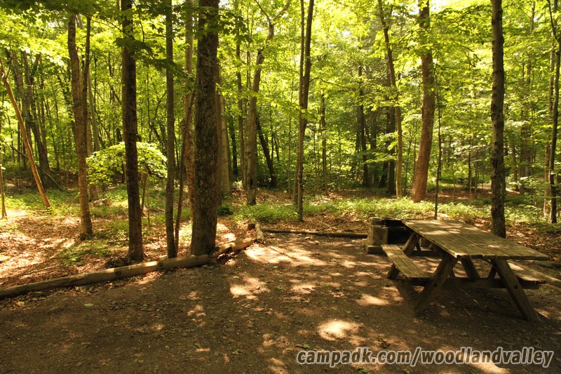 Campsite Photo of Site 22 at Woodland Valley Campground, New York - Cross Site View