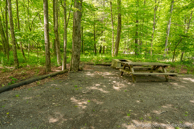 Campsite Photo of Site 22 at Woodland Valley Campground, New York - Cross Site View