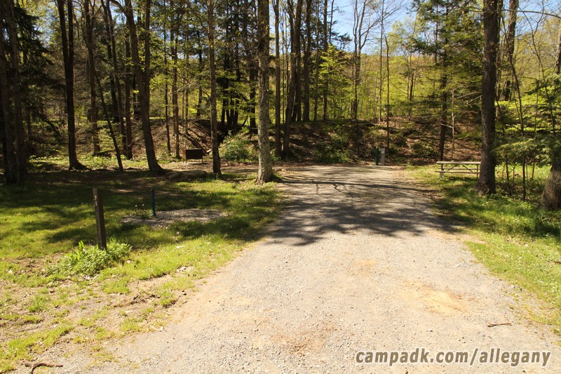 Campsite Photo of Site 71 at Allegany State Park, New York - Looking at Site from Road Sign Visible