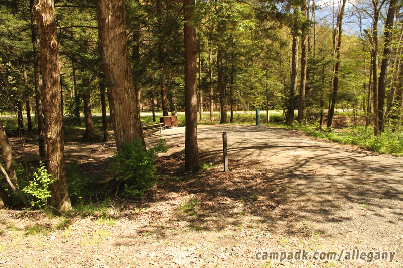 Campsite Photo of Site 66 at Allegany State Park, New York - Looking at Site from Road Sign Visible