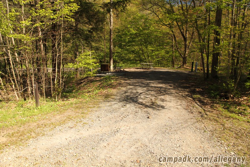 Campsite Photo of Site 61 at Allegany State Park, New York - Looking at Site from Road Sign Visible