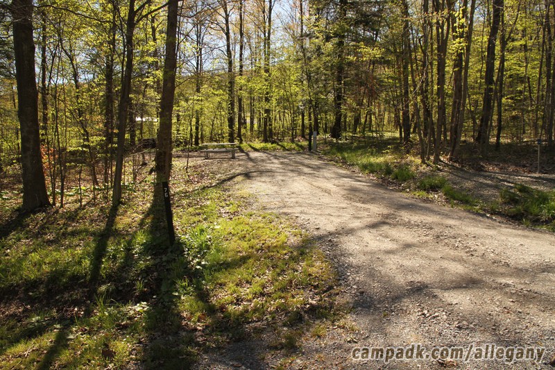 Campsite Photo of Site 76 at Allegany State Park, New York - Looking at Site from Road Sign Visible