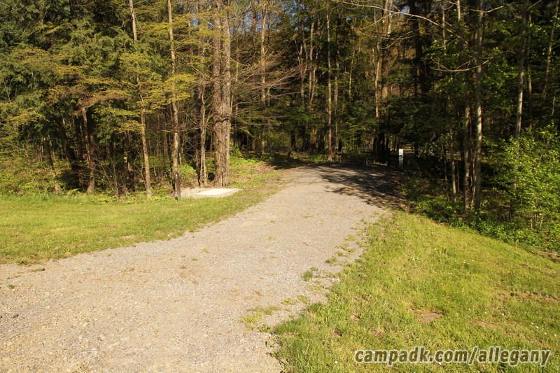 Campsite Photo of Site 81 at Allegany State Park, New York - Looking at Site from Road Sign Visible