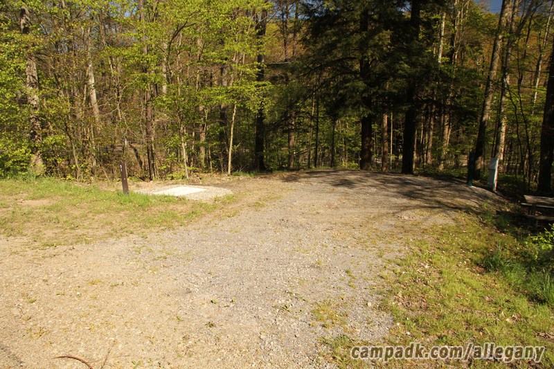 Campsite Photo of Site 91 at Allegany State Park, New York - Looking at Site from Road Sign Visible