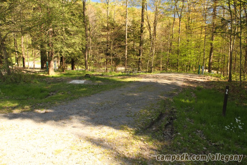 Campsite Photo of Site 96 at Allegany State Park, New York - Looking at Site from Road Sign Visible