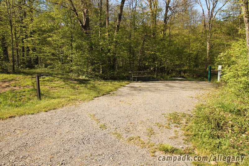 Campsite Photo of Site 101 at Allegany State Park, New York - Looking at Site from Road Sign Visible