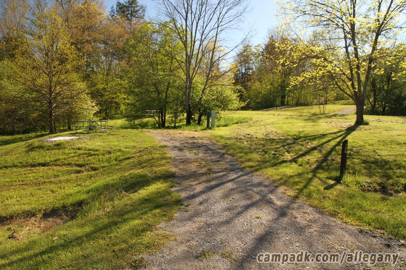 Campsite Photo of Site 106 at Allegany State Park, New York - Looking at Site from Road Sign Visible
