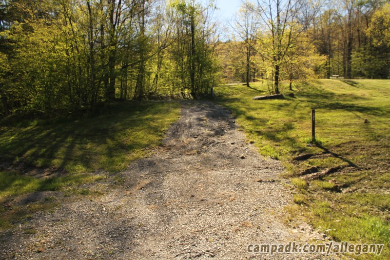 Campsite Photo of Site 131 at Allegany State Park, New York - Looking at Site from Road Sign Visible