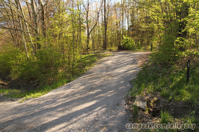 Campsite Photo of Site 121 at Allegany State Park, New York - Looking at Site from Road Sign Visible