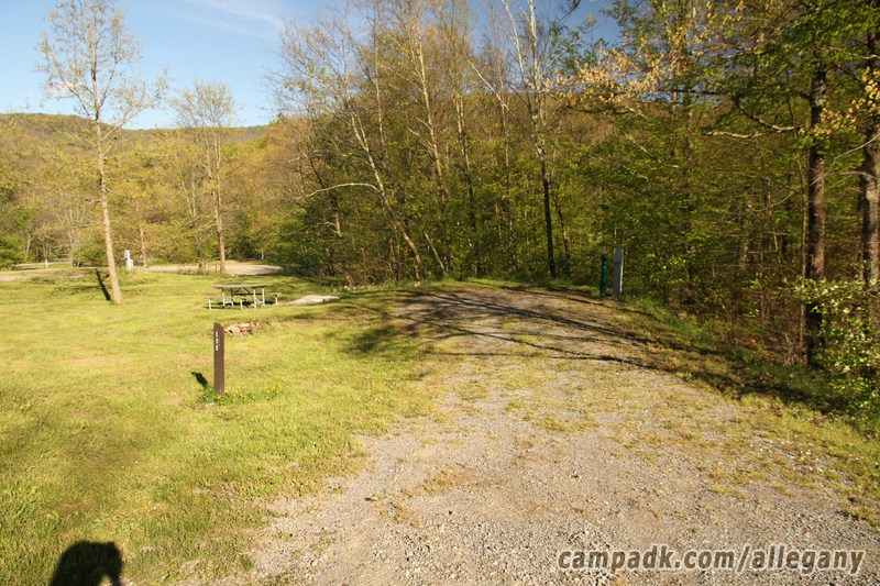 Campsite Photo of Site 111 at Allegany State Park, New York - Looking at Site from Road Sign Visible