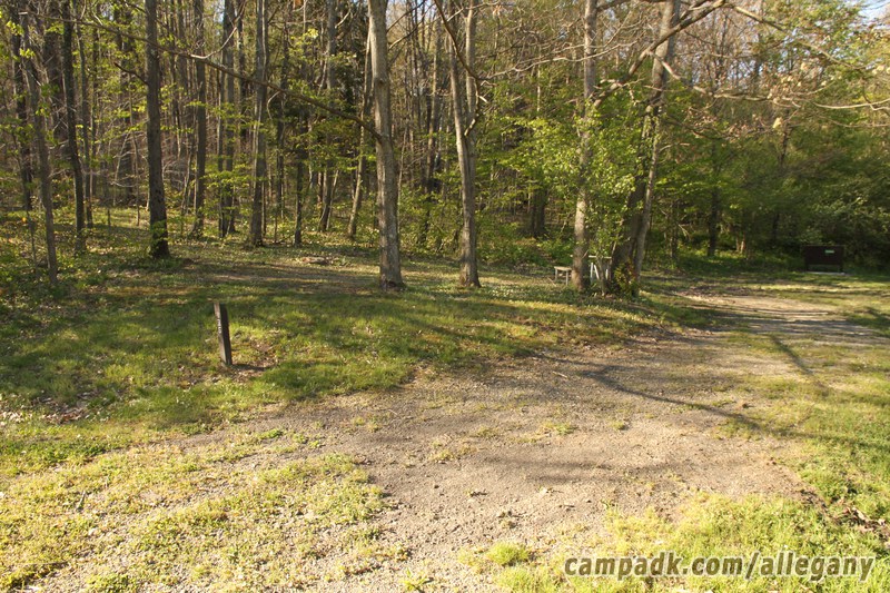 Campsite Photo of Site 136 at Allegany State Park, New York - Looking at Site from Road Sign Visible